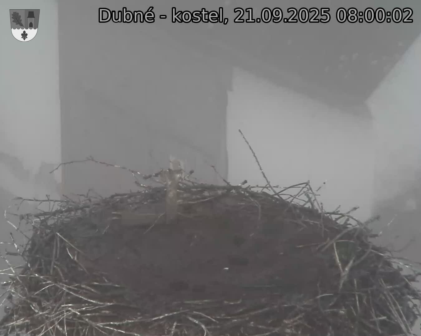 Capi_Dubne_20250921_080002.jpg (1350 x 1080)