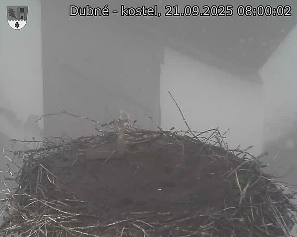 Capi_Dubne_20250921_080002.jpg (1350 x 1080)