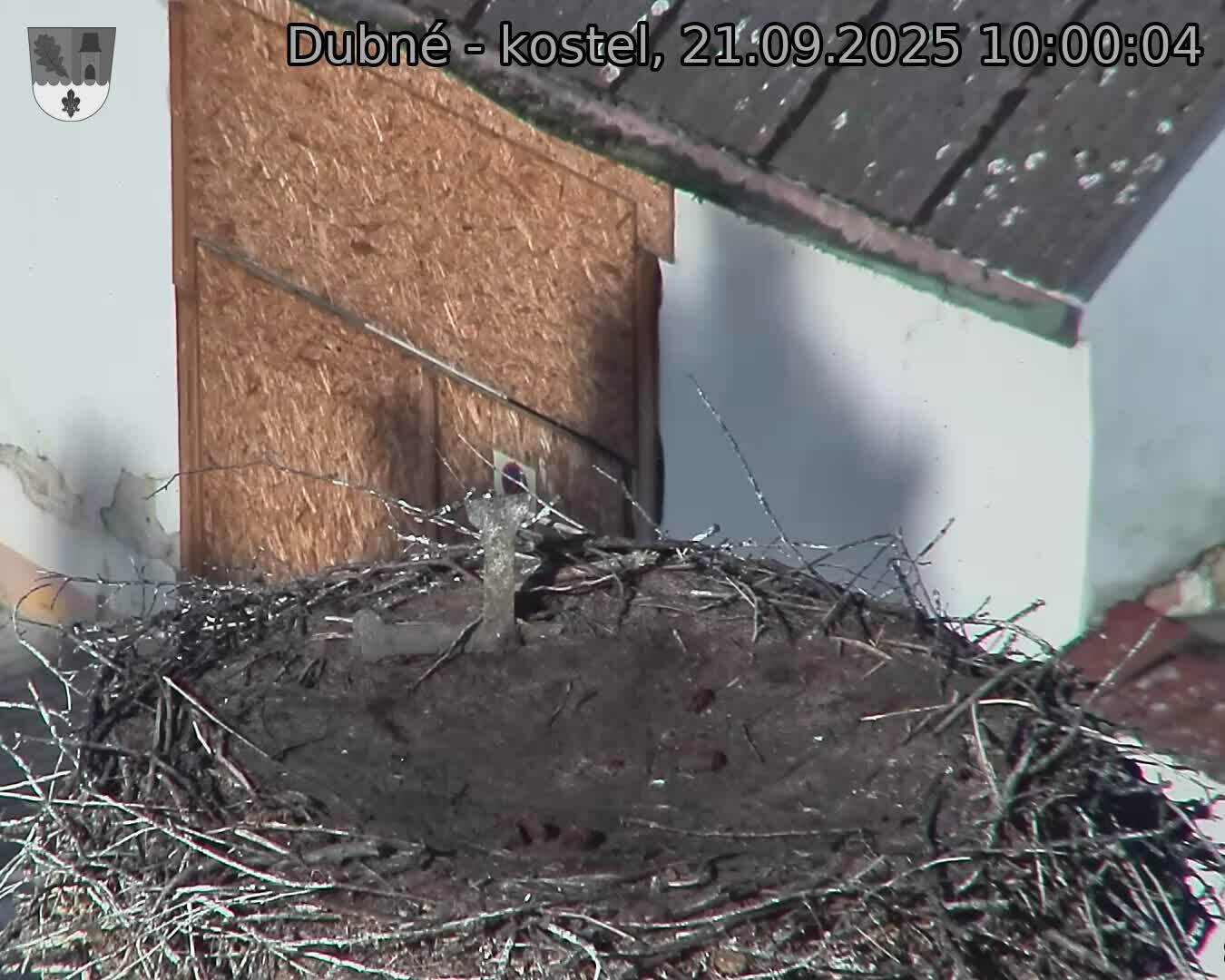 Capi_Dubne_20250921_100004.jpg (1350 x 1080)