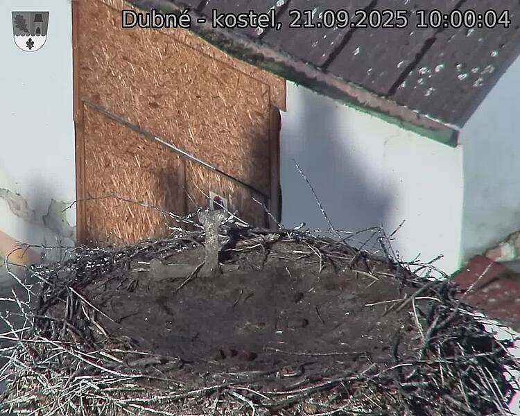 Capi_Dubne_20250921_100004.jpg (1350 x 1080)