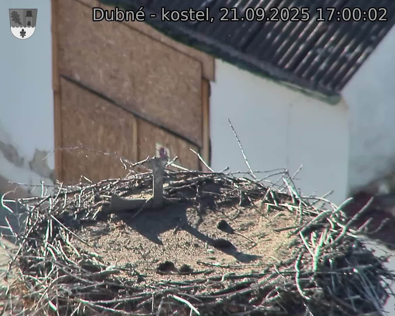 Capi_Dubne_20250921_170002.jpg (1350 x 1080)