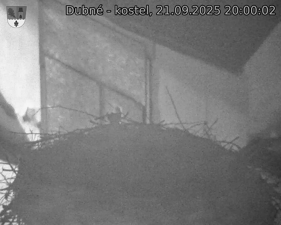 Capi_Dubne_20250921_200002.jpg (1350 x 1080)