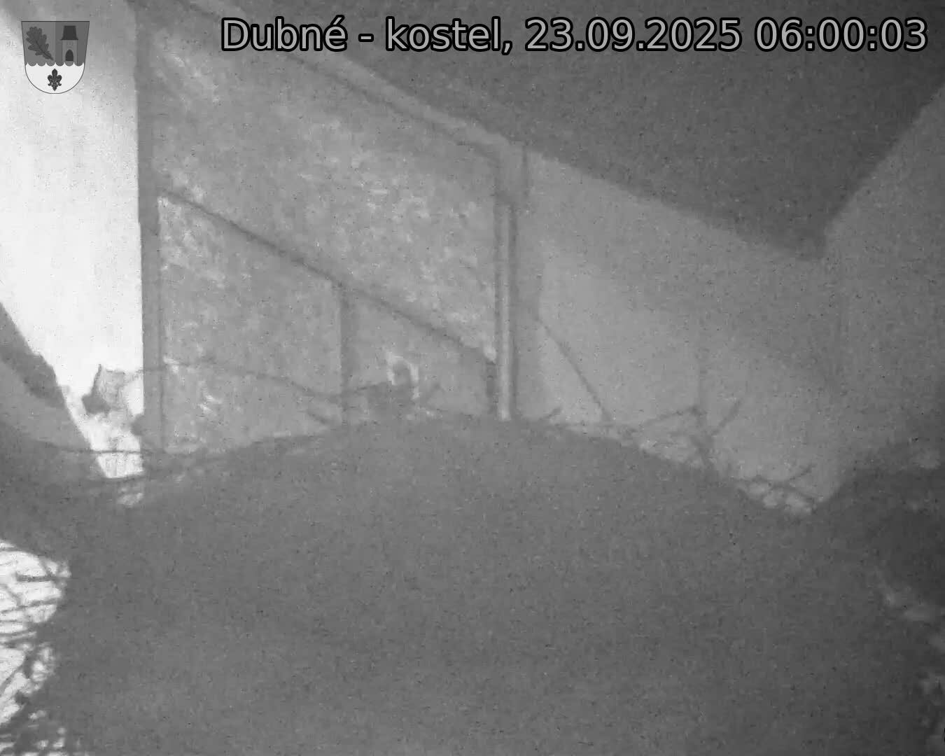 Capi_Dubne_20250923_060003.jpg (1350 x 1080)