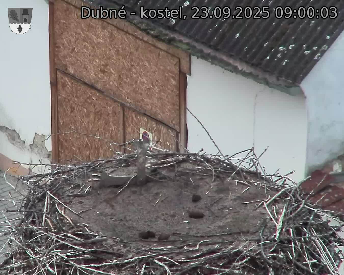 Capi_Dubne_20250923_090003.jpg (1350 x 1080)