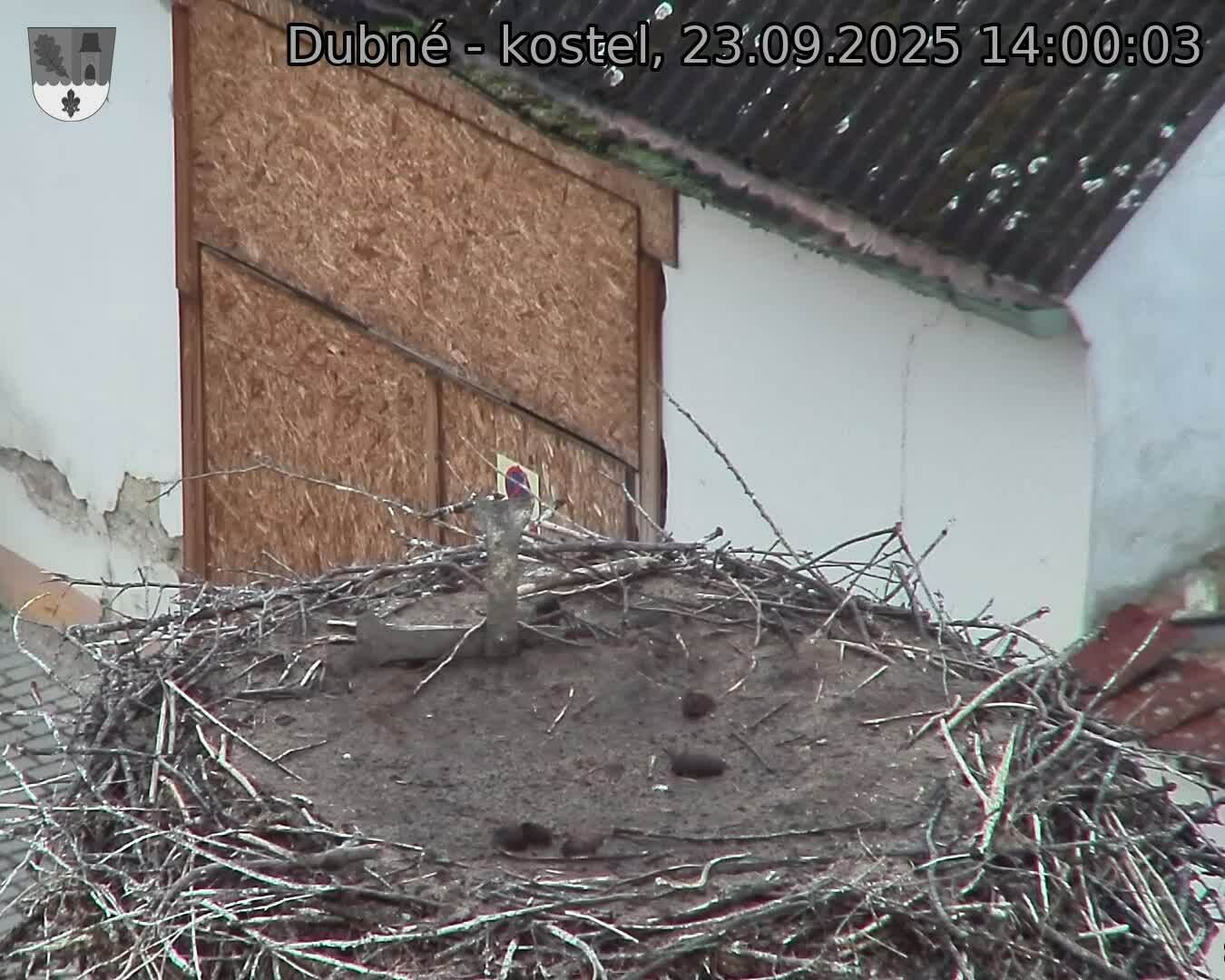 Capi_Dubne_20250923_140003.jpg (1350 x 1080)