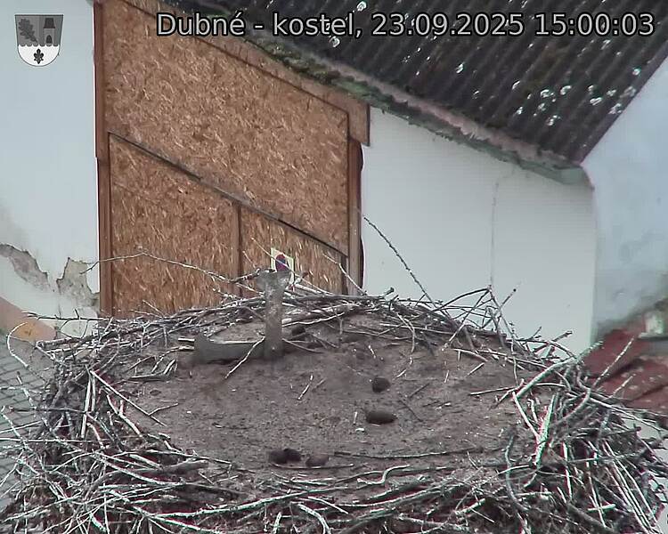 Capi_Dubne_20250923_150003.jpg (1350 x 1080)