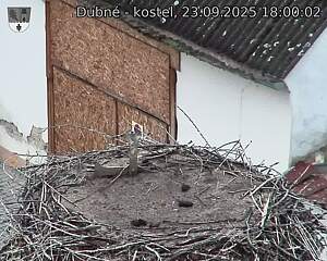 Capi_Dubne_20250923_180002.jpg (1350 x 1080)