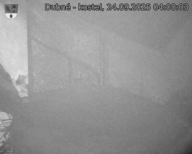 Capi_Dubne_20250924_040003.jpg (1350 x 1080)
