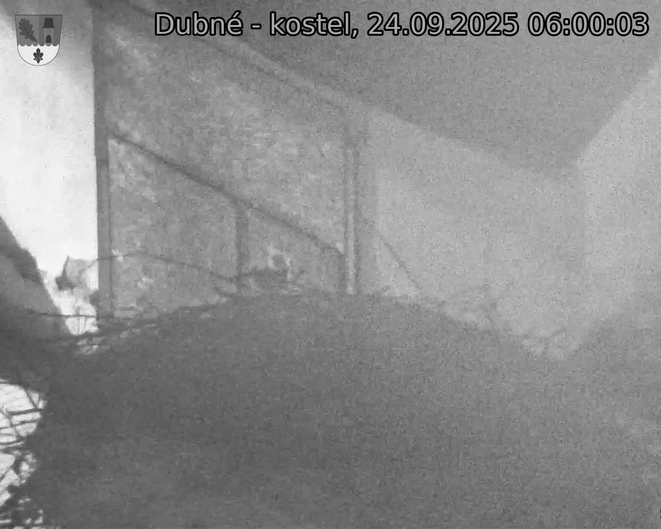 Capi_Dubne_20250924_060003.jpg (1350 x 1080)