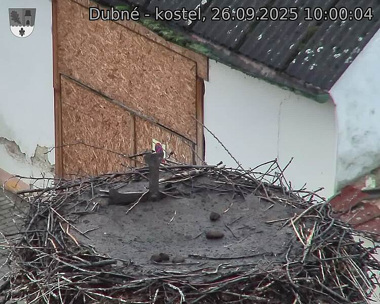 Capi_Dubne_20250926_100004.jpg (1350 x 1080)