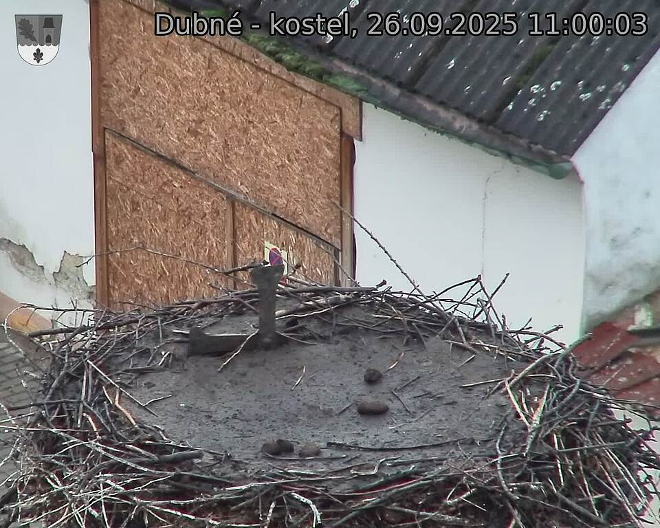 Capi_Dubne_20250926_110003.jpg (1350 x 1080)