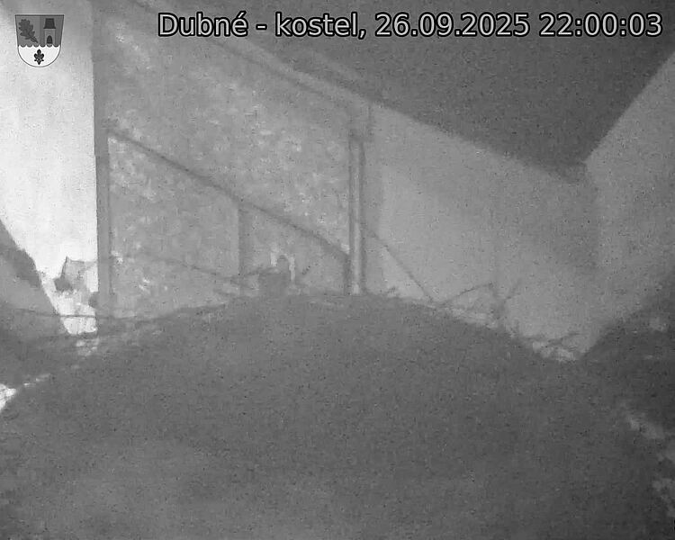 Capi_Dubne_20250926_220003.jpg (1350 x 1080)