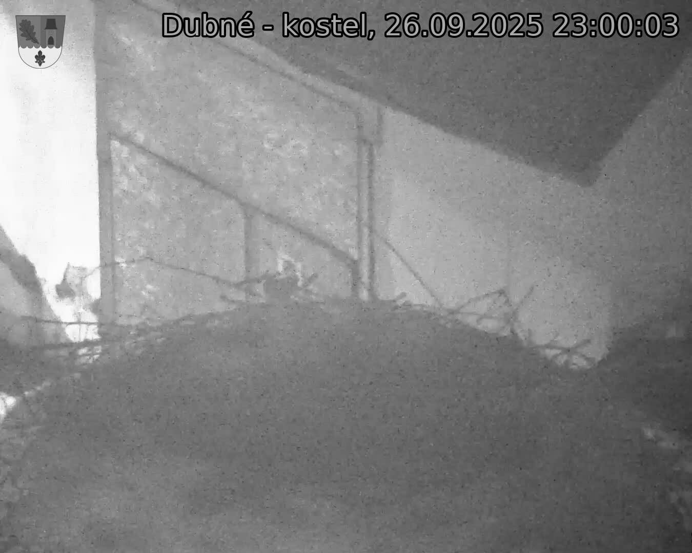 Capi_Dubne_20250926_230003.jpg (1350 x 1080)