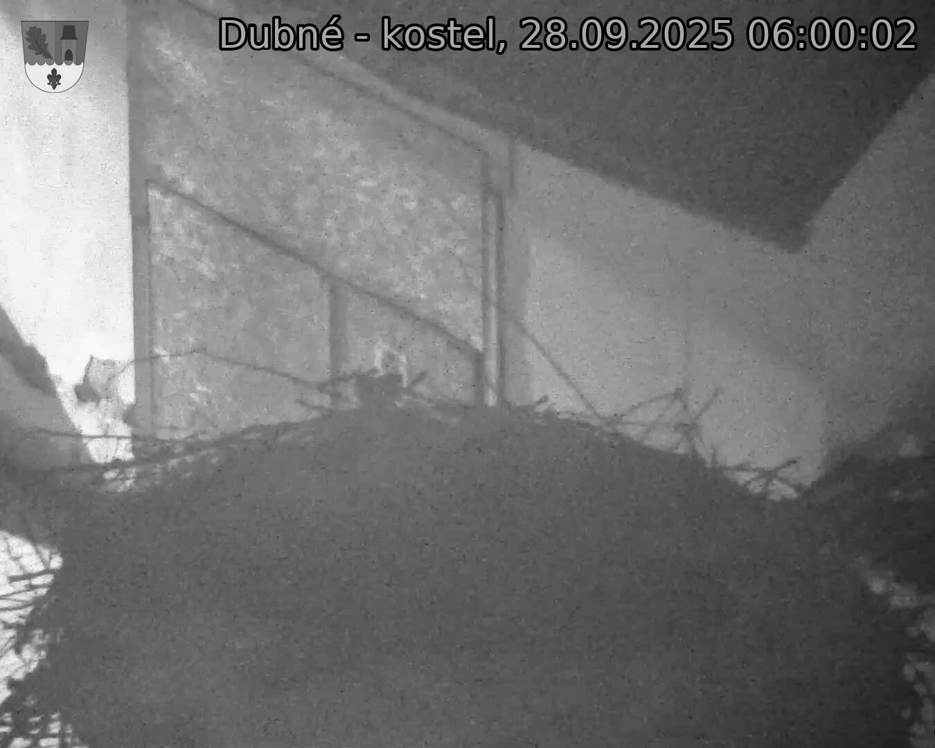 Capi_Dubne_20250928_060002.jpg (1350 x 1080)