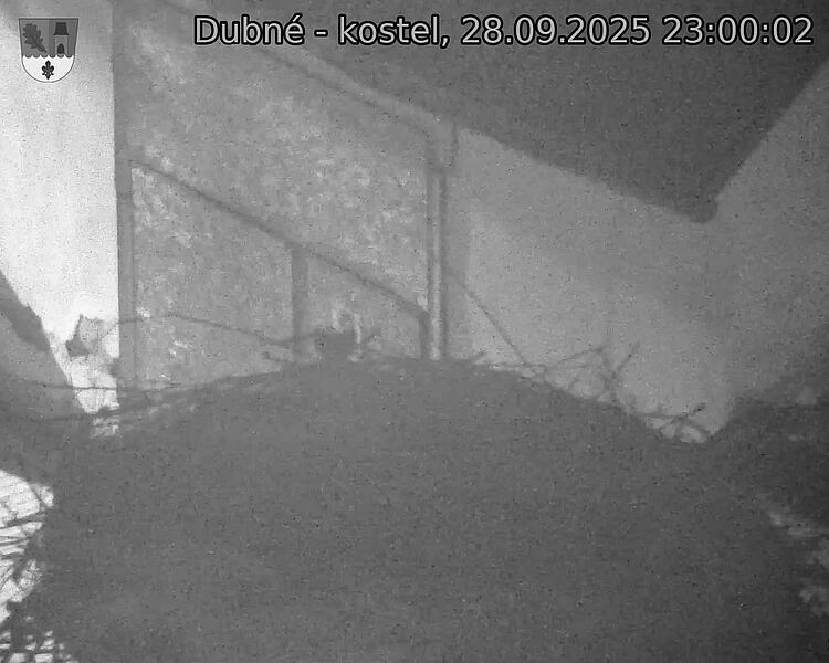 Capi_Dubne_20250928_230002.jpg (1350 x 1080)