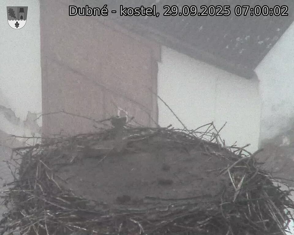 Capi_Dubne_20250929_070002.jpg (1350 x 1080)