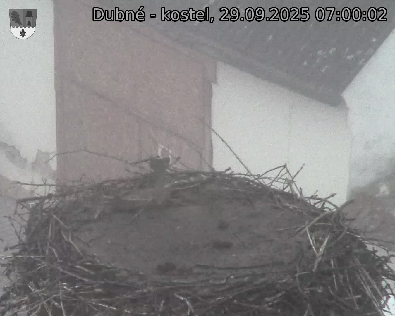 Capi_Dubne_20250929_070002.jpg (1350 x 1080)