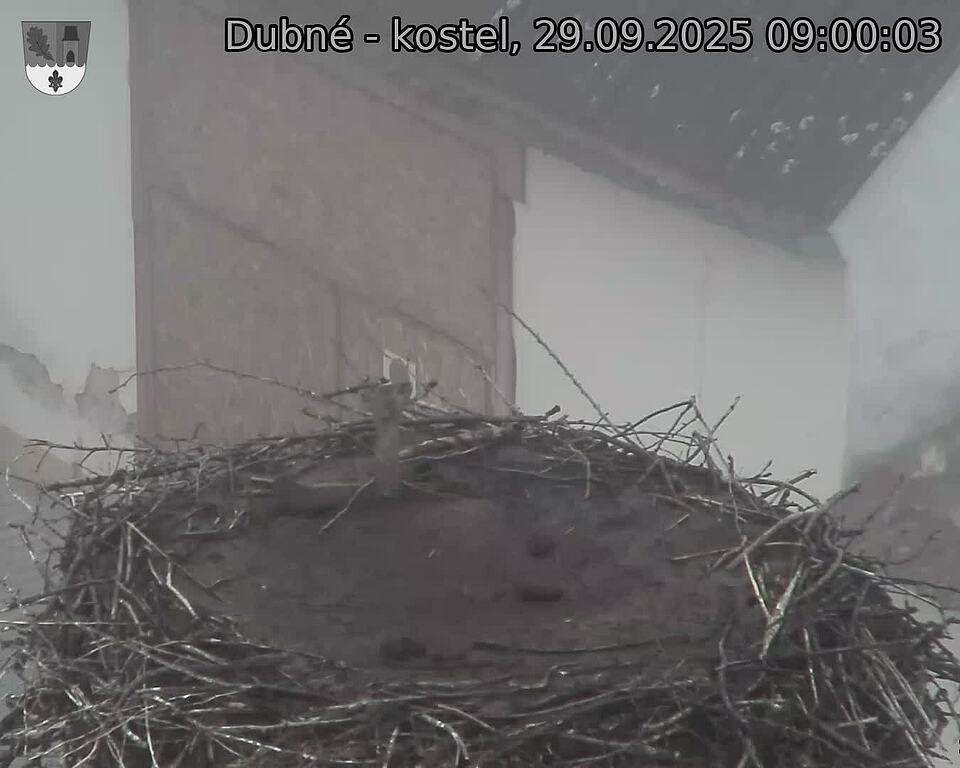 Capi_Dubne_20250929_090003.jpg (1350 x 1080)