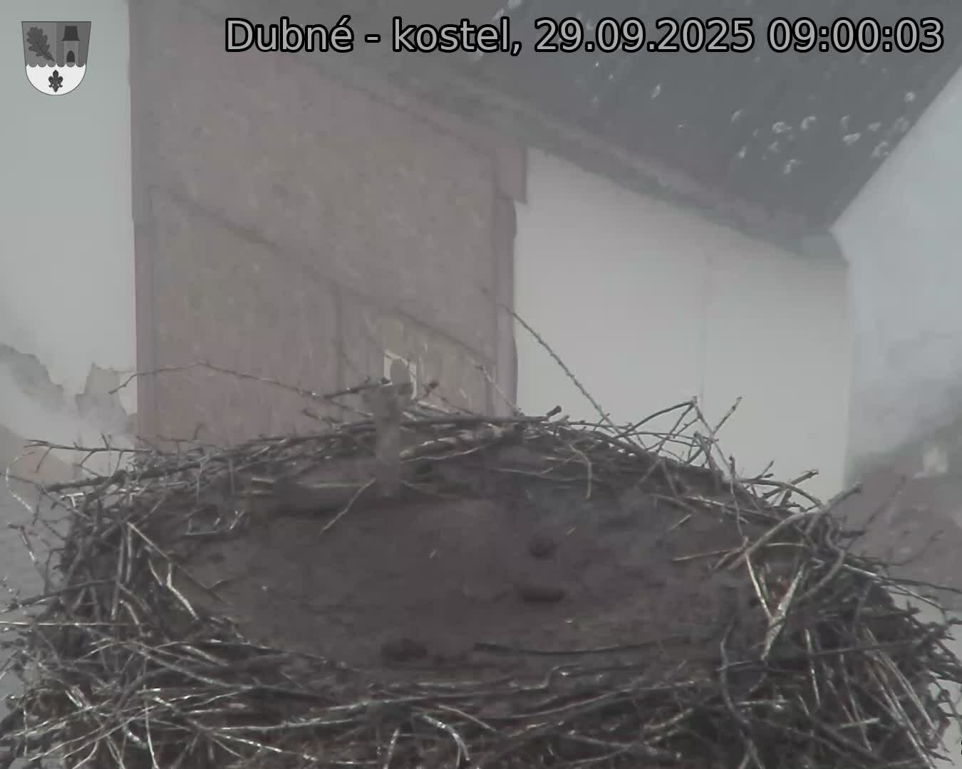 Capi_Dubne_20250929_090003.jpg (1350 x 1080)