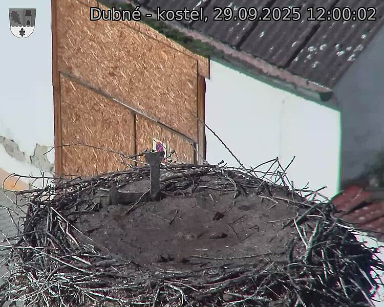 Capi_Dubne_20250929_120002.jpg (1350 x 1080)