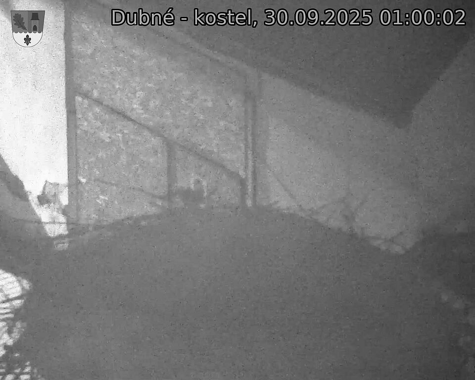 Capi_Dubne_20250930_010002.jpg (1350 x 1080)