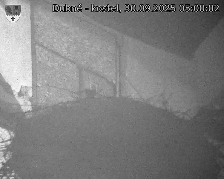 Capi_Dubne_20250930_050002.jpg (1350 x 1080)