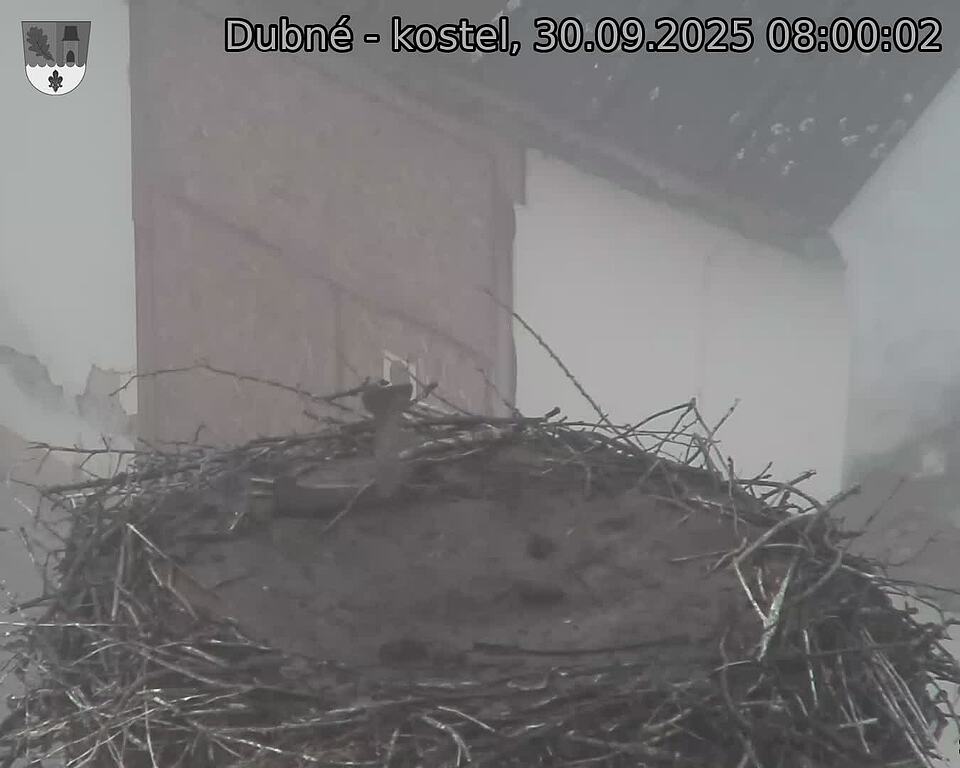 Capi_Dubne_20250930_080002.jpg (1350 x 1080)