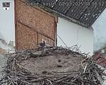Capi_Dubne_20251001_080002.jpg