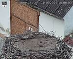 Capi_Dubne_20251001_100003.jpg