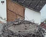 Capi_Dubne_20251001_110003.jpg