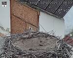 Capi_Dubne_20251001_120003.jpg