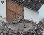 Capi_Dubne_20251001_130003.jpg