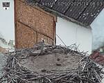 Capi_Dubne_20251001_140003.jpg