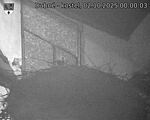Capi_Dubne_20251002_000003.jpg