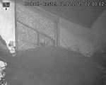 Capi_Dubne_20251002_020002.jpg