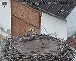 Capi_Dubne_20251002_080002.jpg