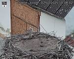 Capi_Dubne_20251002_100002.jpg