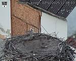 Capi_Dubne_20251002_120003.jpg