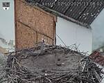 Capi_Dubne_20251002_130002.jpg