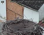 Capi_Dubne_20251002_140003.jpg