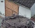 Capi_Dubne_20251002_160003.jpg