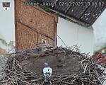 Capi_Dubne_20251002_180002.jpg
