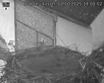 Capi_Dubne_20251002_190002.jpg