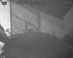 Capi_Dubne_20251003_010002.jpg