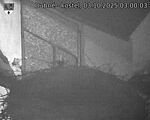 Capi_Dubne_20251003_030003.jpg