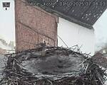 Capi_Dubne_20251003_070003.jpg