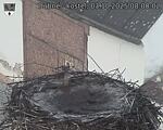 Capi_Dubne_20251003_080002.jpg