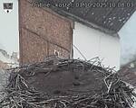 Capi_Dubne_20251003_100003.jpg