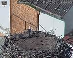 Capi_Dubne_20251003_130003.jpg