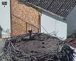 Capi_Dubne_20251003_140002.jpg